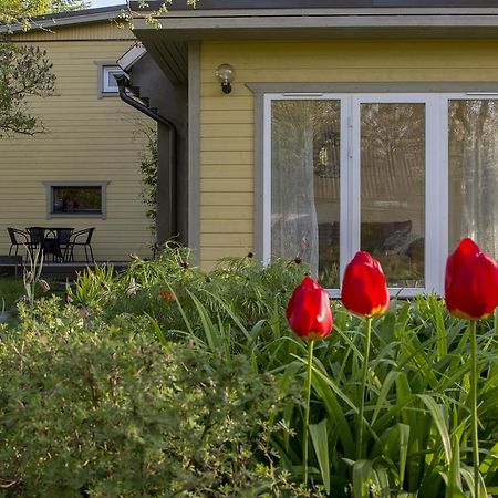 Kaevu Holiday House 페르누 객실 사진