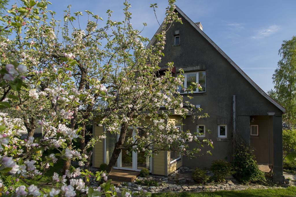 Kaevu Holiday House 페르누 객실 사진